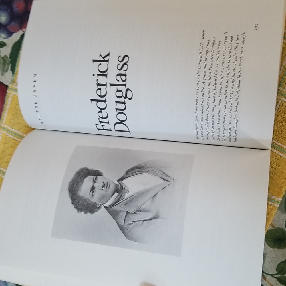 📚FROM THESE BEGINNINGS - Picture 11 of 12